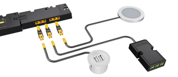 Adapter, zum Anschluss von Häfele Loox Verbrauchern an Häfele Loox5 Netzteil 24 V