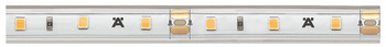 Bande silicone LED, Häfele Loox5 LED 2063 12 V 8 mm 2 pôles (monochrome), 60 LED/m, 4,8 W/m, IP44