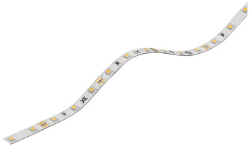 Bande LED, Häfele Loox5 LED 2062 12 V 8 mm 2 pôles (monochrome), 60 LED/m, 4,8 W/m, IP20